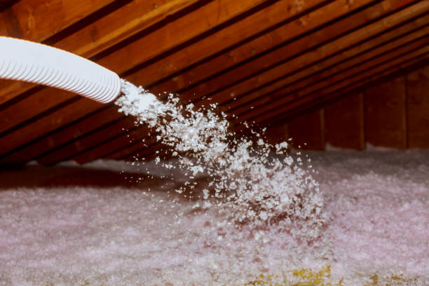 Types of Insulation We Offer in Thornton, CO